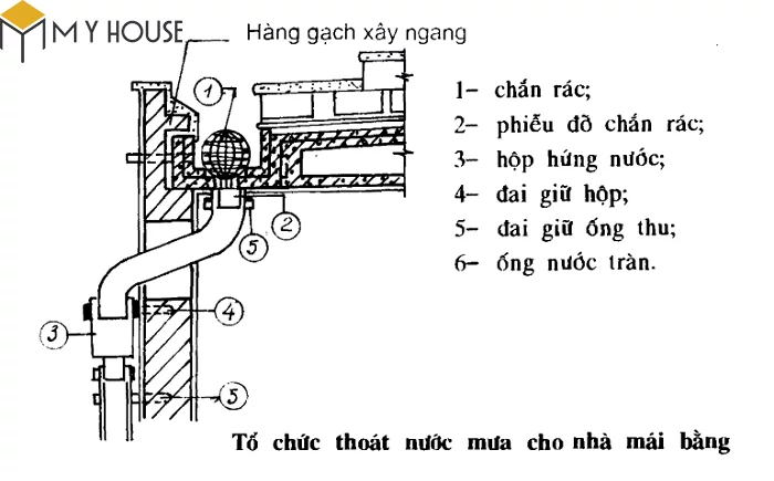 Tổ chức thoát nước mưa cho nhà mái bằng