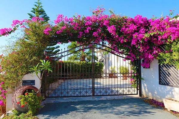 Mẫu cổng nhà vườn ở nông thôn đơn giản mà đẹp